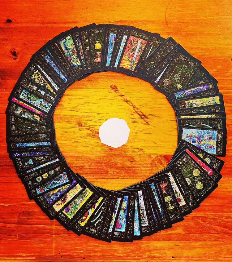 Everlush Oracle | 257 Holloways Rd, Sandy Beach NSW 2456, Australia | Phone: 0402 515 456