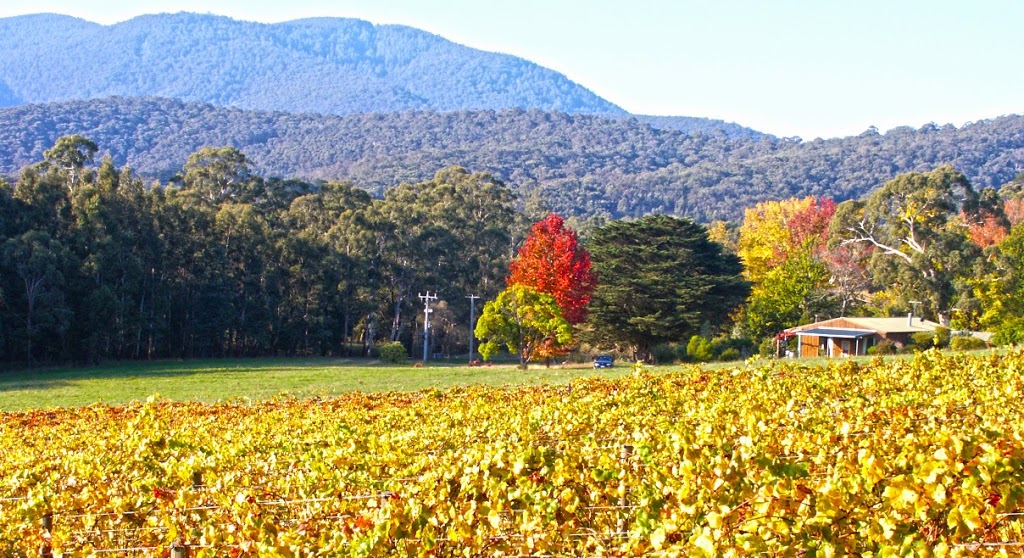 Valley Farm Vineyard Cottages | lodging | 24 Valley Farm Rd, Healesville VIC 3777, Australia | 0417540942 OR +61 417 540 942