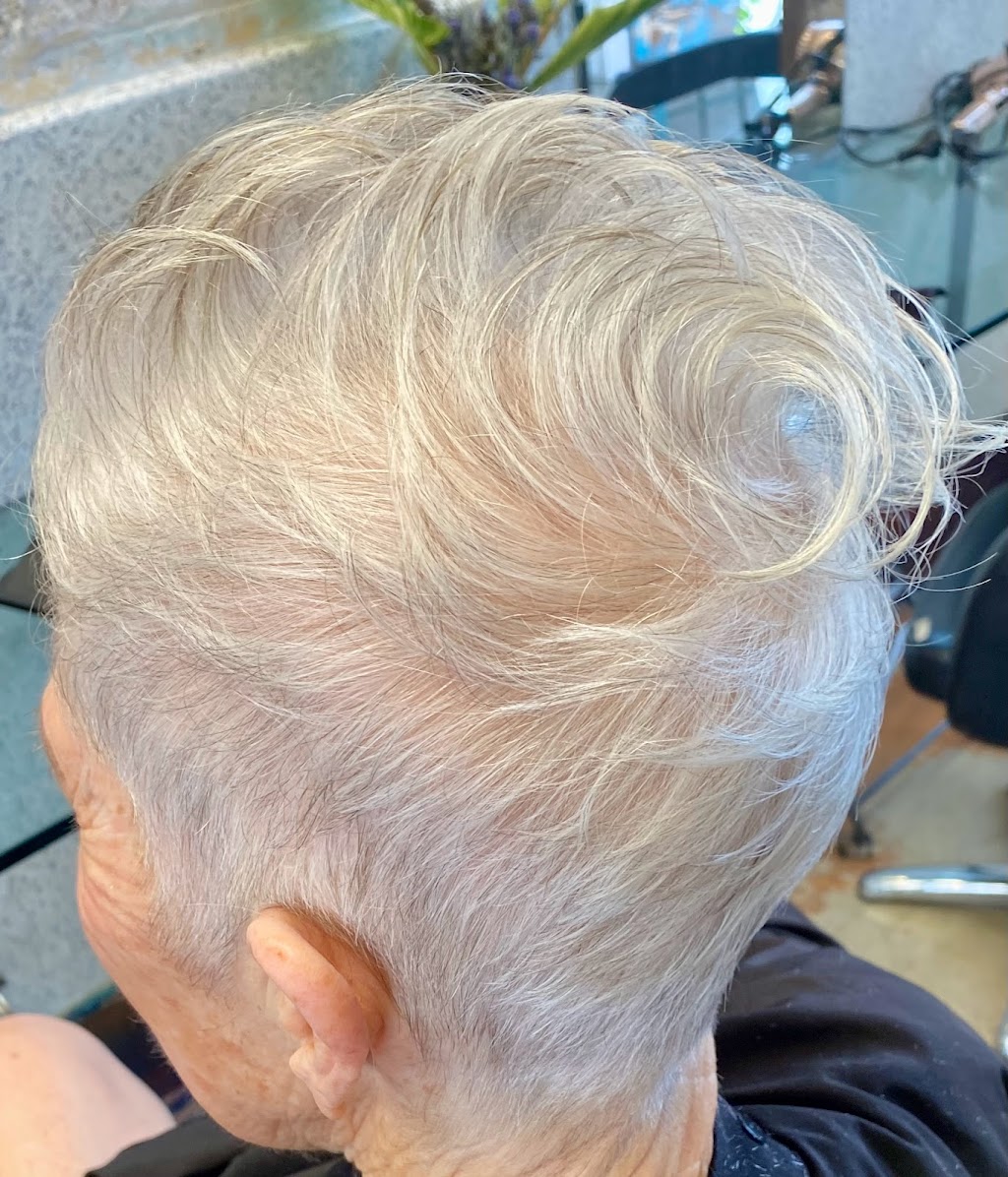 Fil-A-Bolus | 132 Kennedy Ter, Paddington QLD 4064, Australia | Phone: (07) 3367 2458