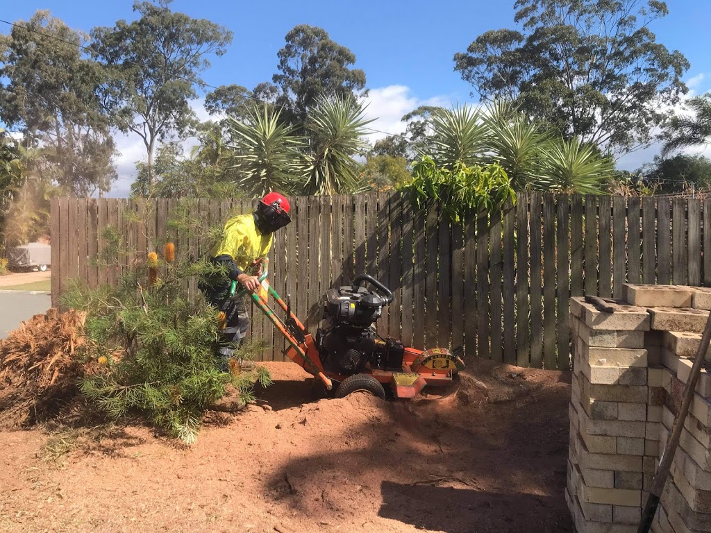 Bayside Treecare |  | 151 Lascelles St, Brighton QLD 4017, Australia | 0437569313 OR +61 437 569 313