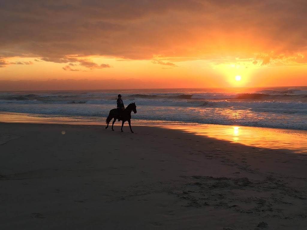 Tassiriki Ranch Beach Horse Riding & Holiday Cabins | real estate agency | 249 Moylans Ln, Empire Vale NSW 2478, Australia | 0266834602 OR +61 2 6683 4602