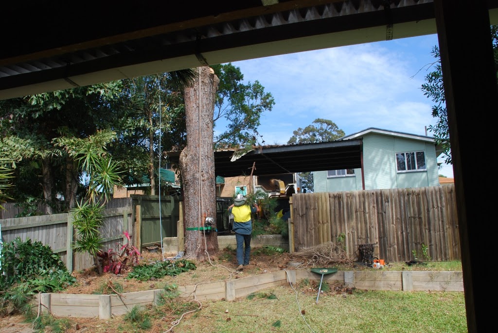 Frontier Tree Services | 180 Heslop Rd, Gaven QLD 4211, Australia | Phone: (07) 5574 4477