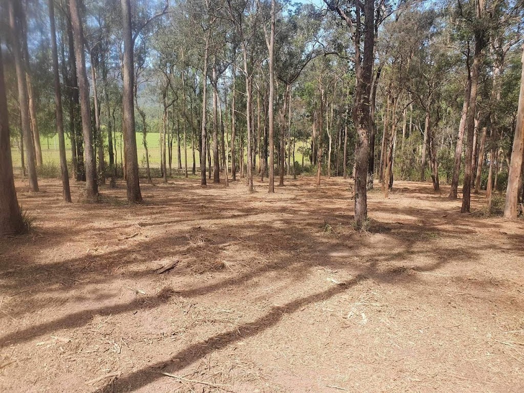 Ace Clearing & Mulching | 146 Heron Rd, Old Bar NSW 2430, Australia | Phone: 0416 090 654