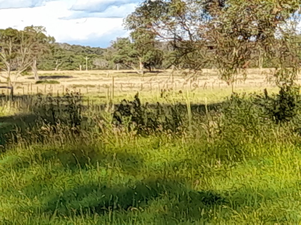 Parlour Mountain Farm, run by Hempel Enterprises Pty Ltd | 3206 Boorolong Rd Parlour Mountain Farm, Boorolong NSW 2350, Australia | Phone: 0407 755 888