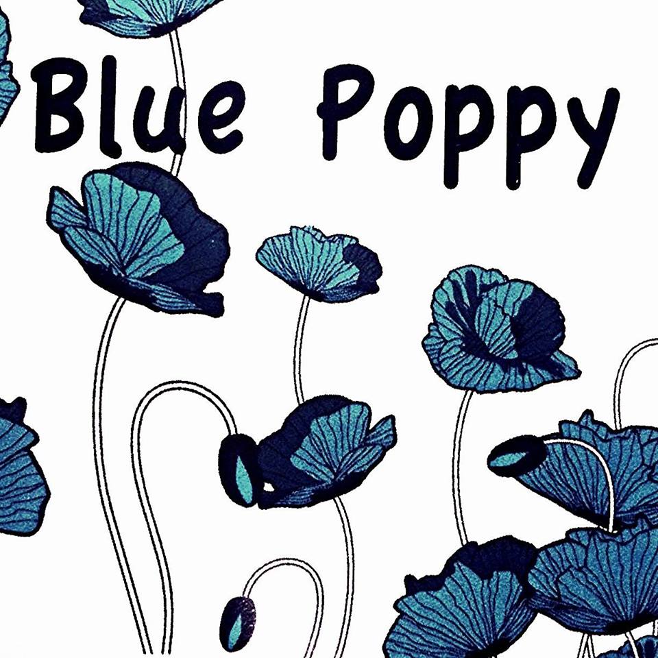 Blue Poppy Hair | hair care | 6/56 Abena Ave, Crace ACT 2911, Australia | 0261620160 OR +61 2 6162 0160