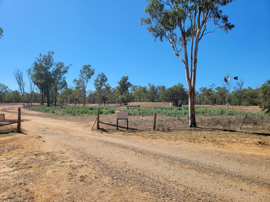 Birimgan East General Permission Area | Laglan Rd, Clermont QLD 4721, Australia | Phone: (07) 4983 1211