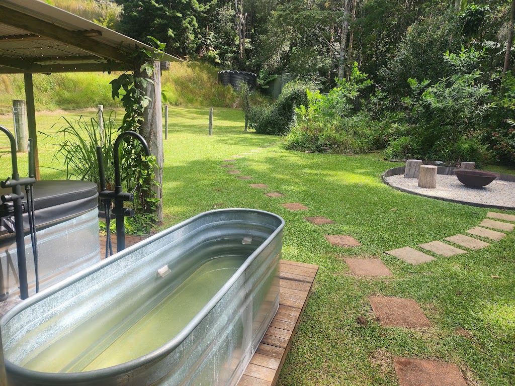 Cascade Springs | 222 Urliup Rd, Urliup NSW 2484, Australia | Phone: (07) 5590 8363