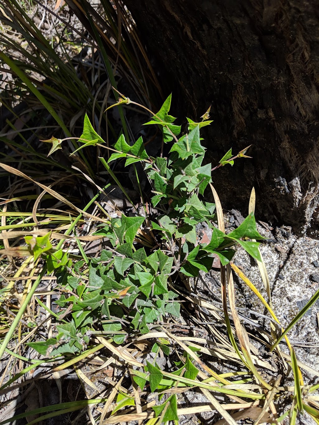 Billimina Shelter | Goat Track, Glenisla VIC 3314, Australia | Phone: 13 19 63