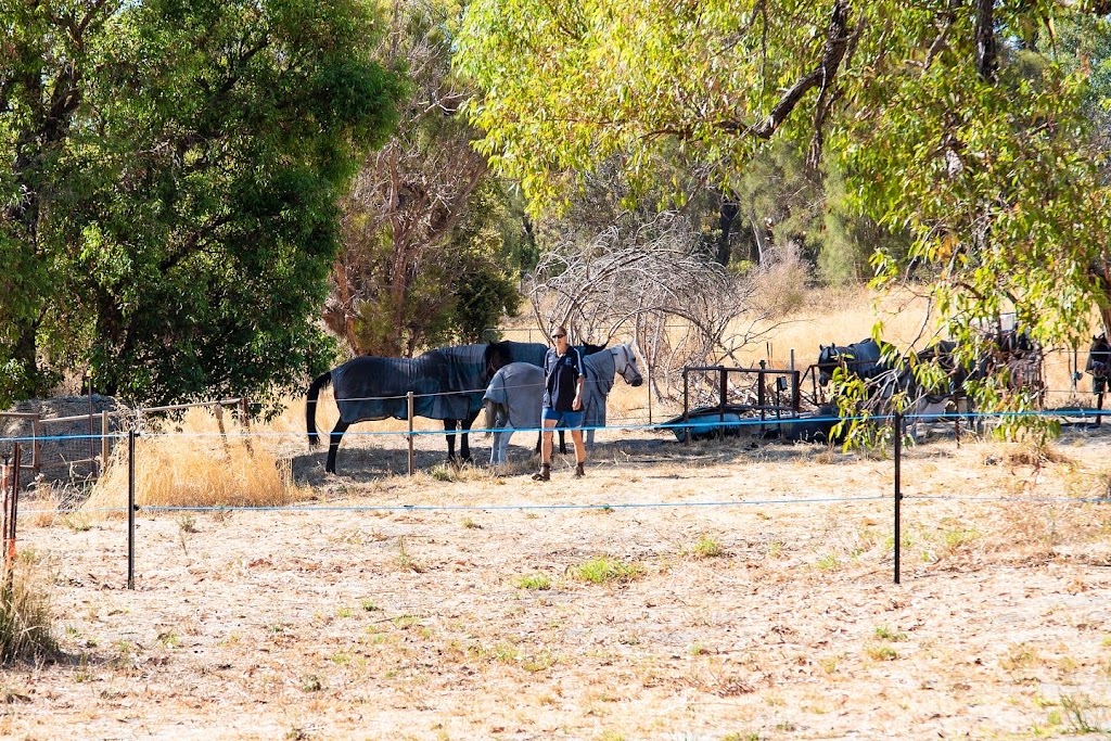 Happy Hooves Wanneroo | 643 Gnangara Rd, Lexia WA 6079, Australia | Phone: 0424 349 214