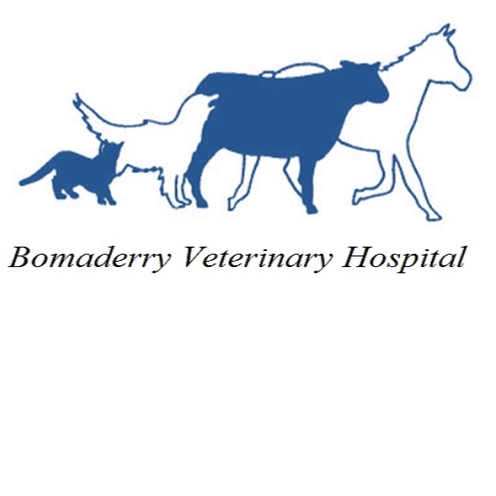 Bomaderry Veterinary Hospital PTY Ltd. | veterinary care | 335 Princes Hwy, Bomaderry NSW 2541, Australia | 0244213133 OR +61 2 4421 3133