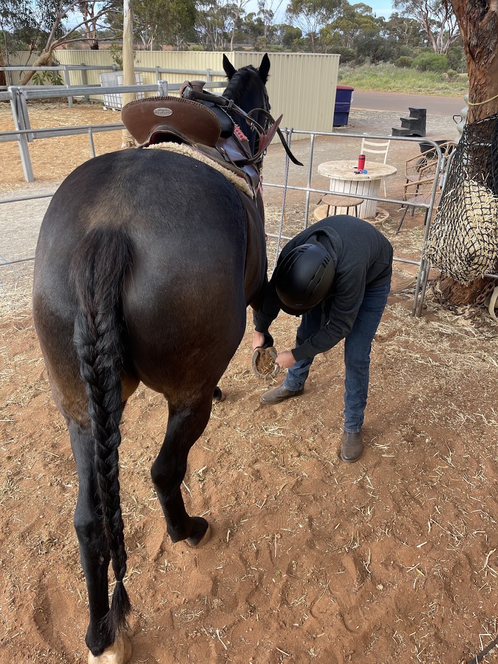 Breakthrough Education and Equine Academy | 379 Piccadilly St, West Lamington WA 6430, Australia | Phone: 0407 271 821