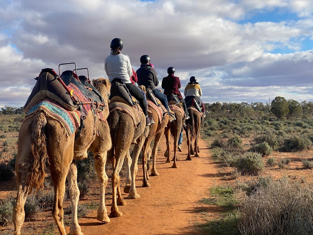 Silverton Outback Camels | tourist attraction | 1939 Silverton Rd, Silverton NSW 2880, Australia | 0428602664 OR +61 428 602 664