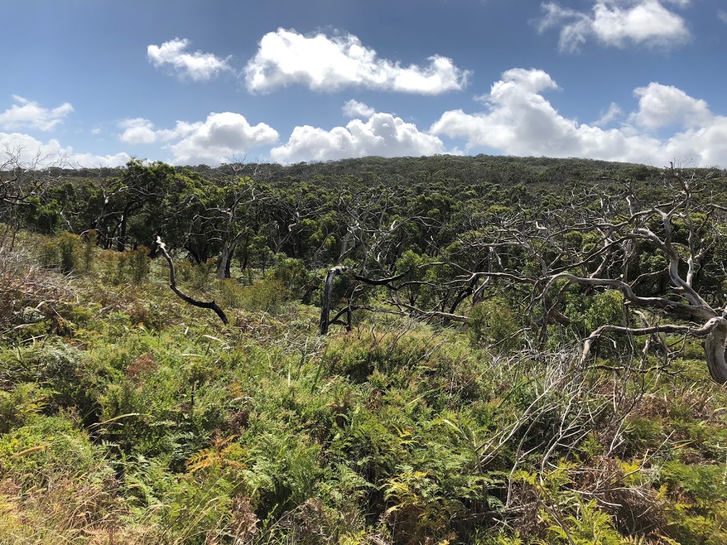 Mount Richmond National Park | Victoria 3305, Australia