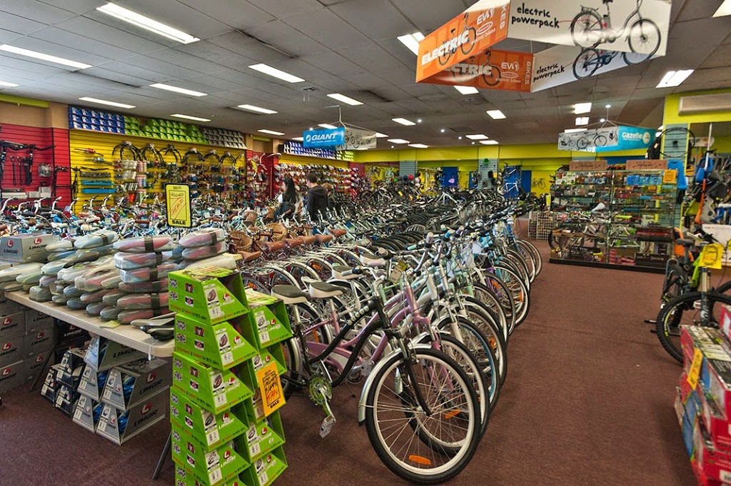 Pushys | bicycle store | 70 Newcastle St, Fyshwick ACT 2609, Australia | 0262804984 OR +61 2 6280 4984