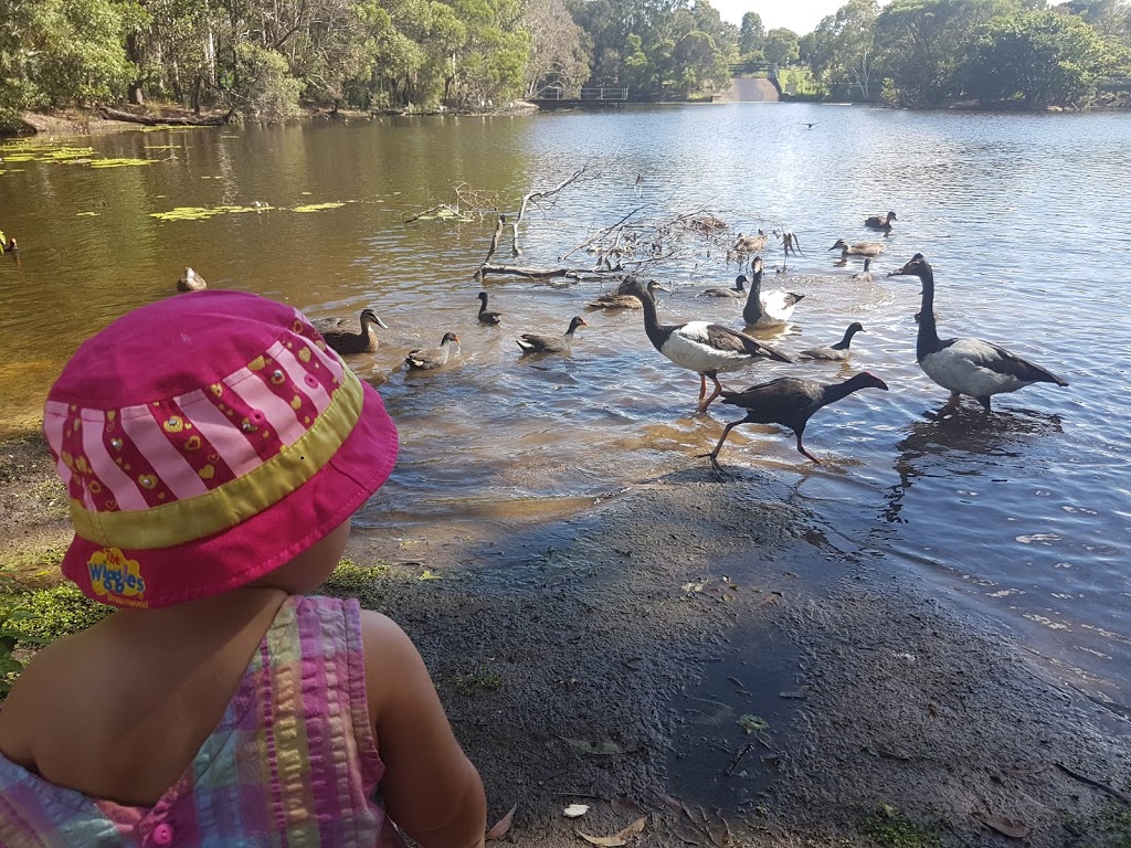 Crystal Waters Park | park | Thornlands QLD 4164, Australia | 0738298999 OR +61 7 3829 8999