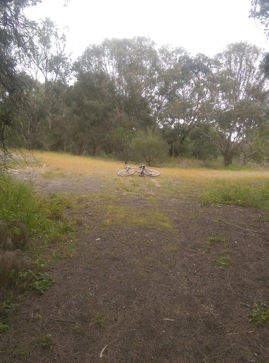 Yangebup Flora and Fauna Reserve | Yangebup WA 6164, Australia