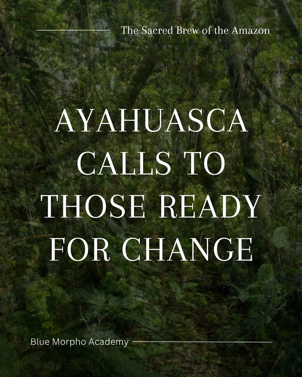 Ayahuasca retreat foundation | Hill Rd, Forbes River NSW 2446, Australia | Phone: 0490 315 048