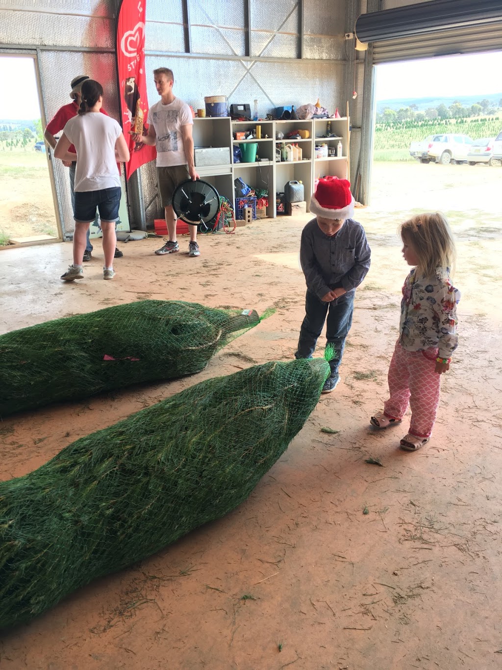 Santas Shaped Christmas Trees | store | 4144 Gundaroo Rd, Gundaroo NSW 2620, Australia | 0262368246 OR +61 2 6236 8246