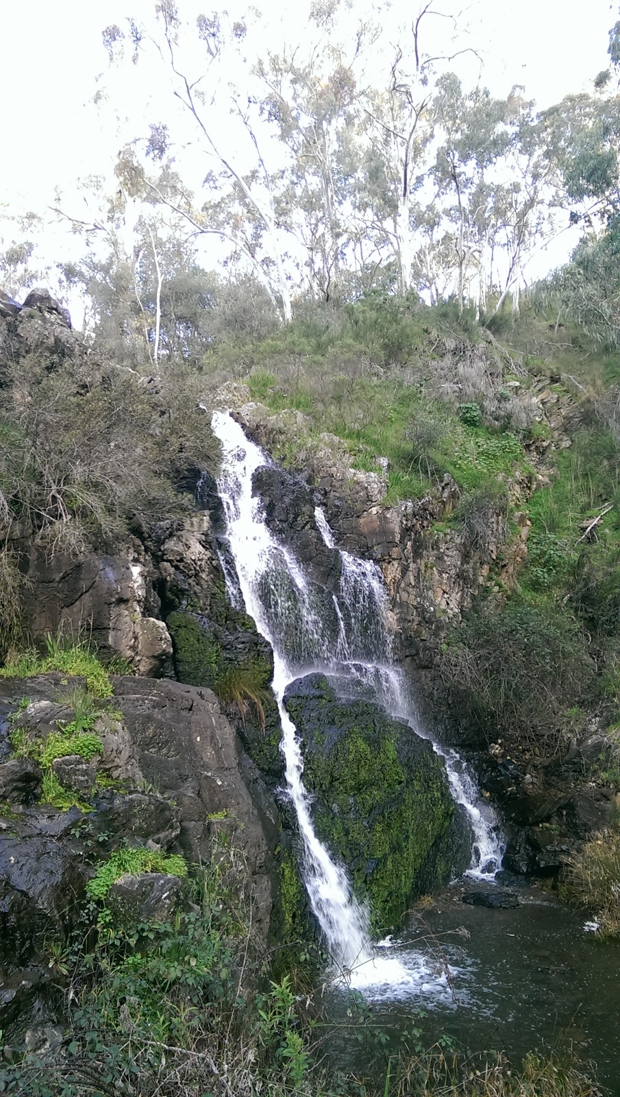 Morialta Conservation Park | park | Morialta Falls Rd, Woodforde SA 5072, Australia | 0883360901 OR +61 8 8336 0901