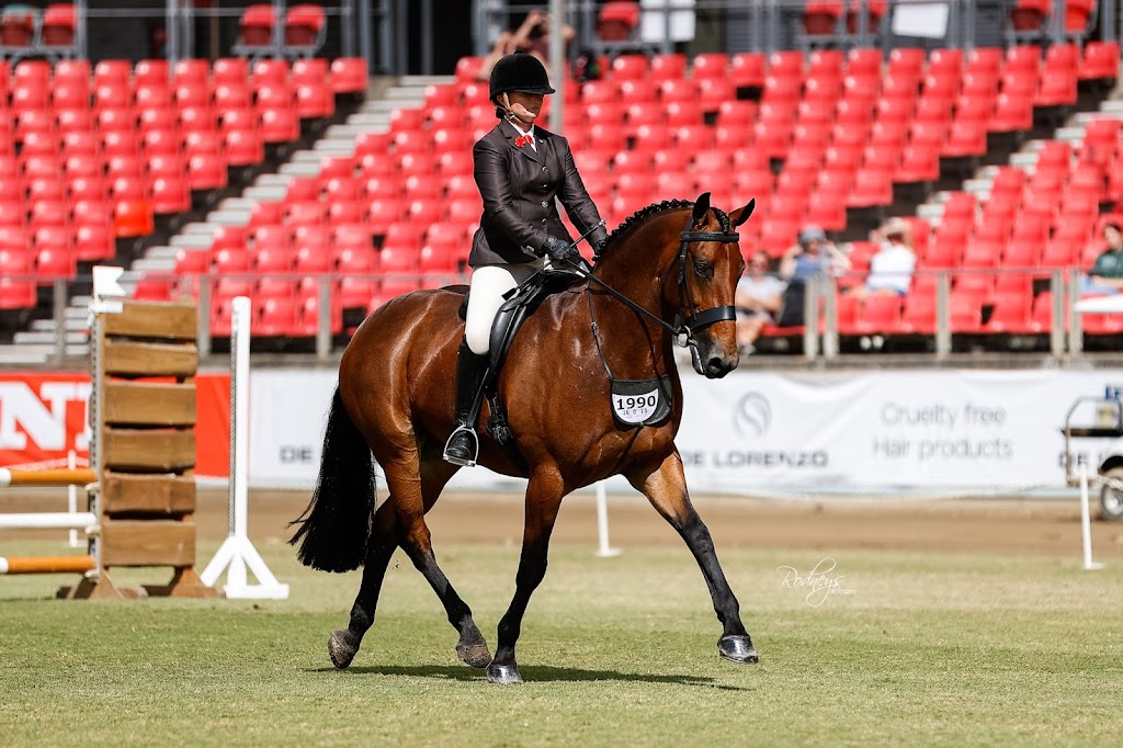 Sowter Equestrian | 15165 Pacific Hwy, Possum Brush NSW 2430, Australia | Phone: 0411 796 943