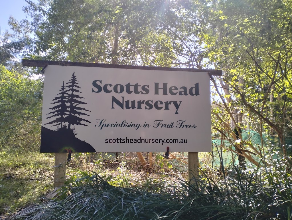 Scotts Head Nursery | 482 Scotts Head Rd, Way Way NSW 2447, Australia | Phone: 0478 807 849
