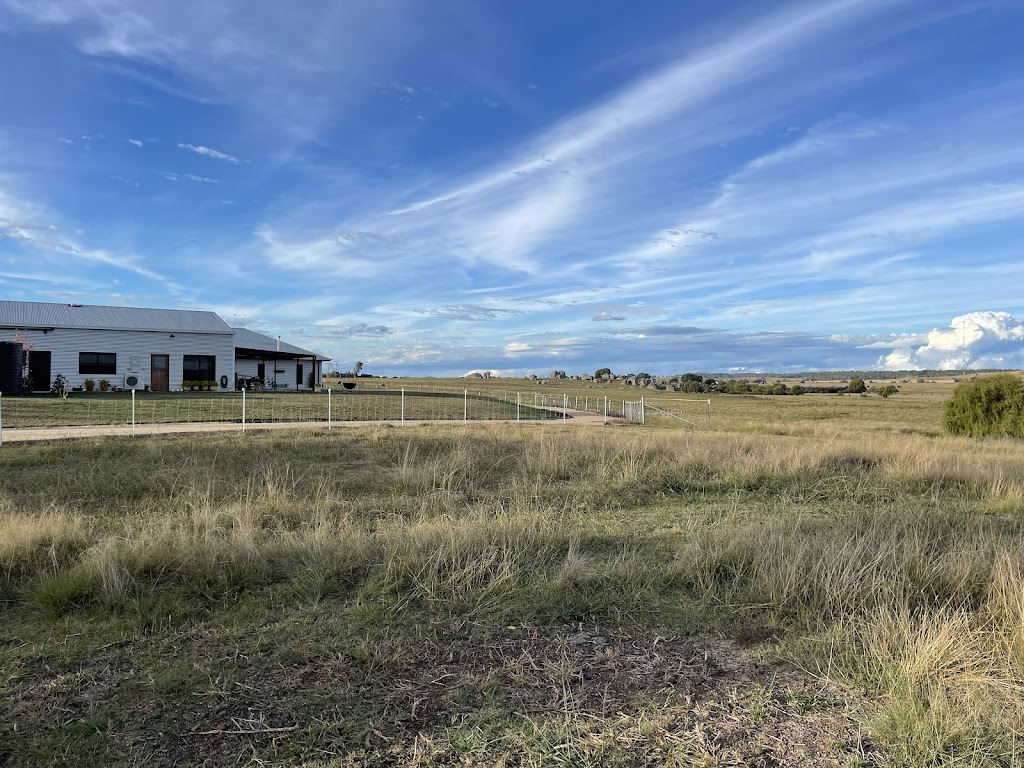 Tui Lodge | 100 E Pandora Rd, Stonehenge NSW 2370, Australia | Phone: 0408 998 102