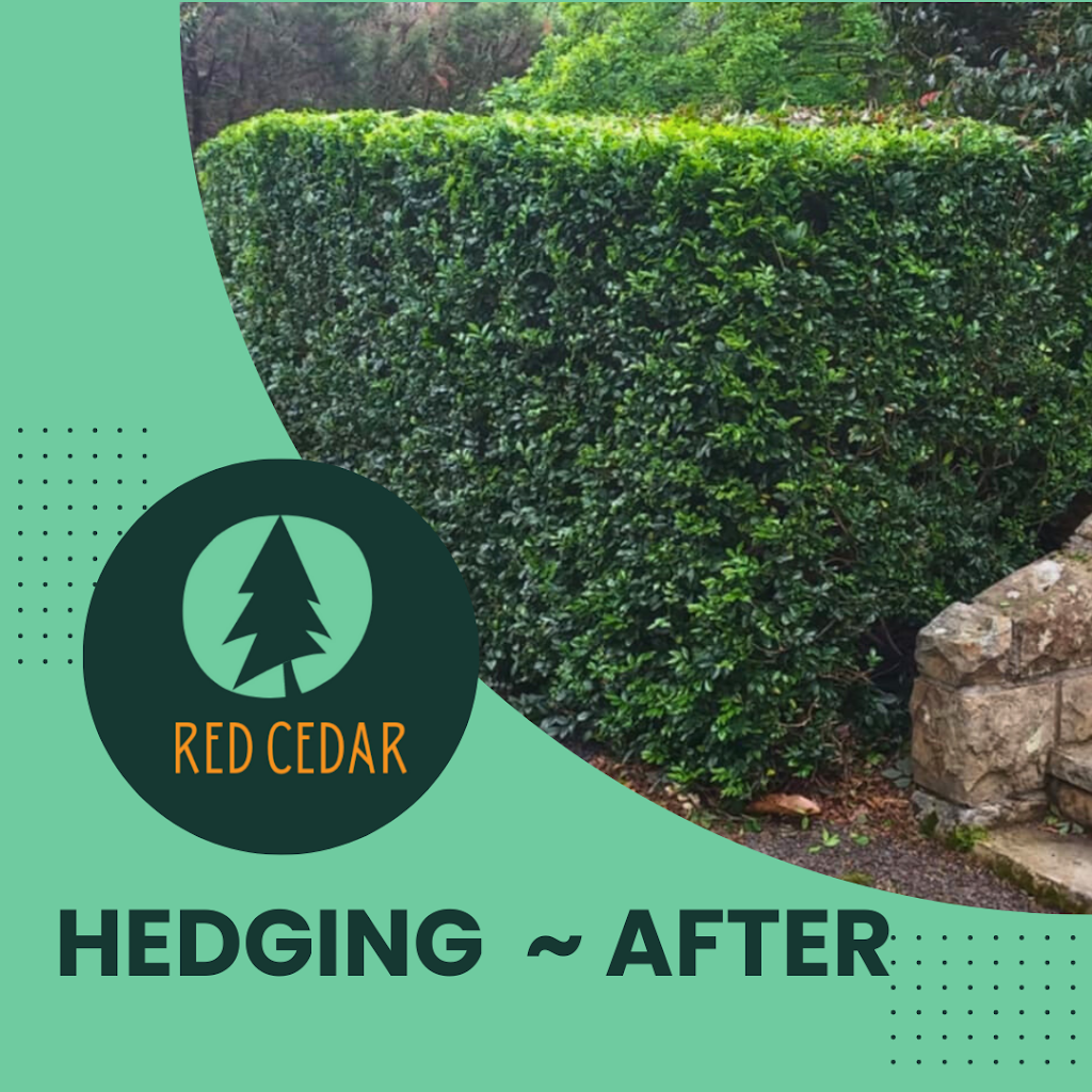 Red Cedar Garden & Property Care | Strongs Rd, Jaspers Brush NSW 2535, Australia | Phone: 0433 188 182