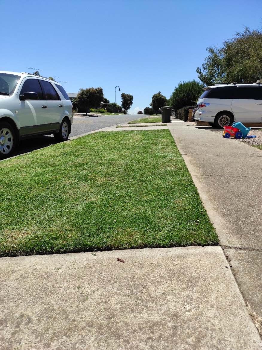 Eco Greens Mowing Service | 126 Orton St, Ocean Grove VIC 3226, Australia | Phone: 0431 188 371