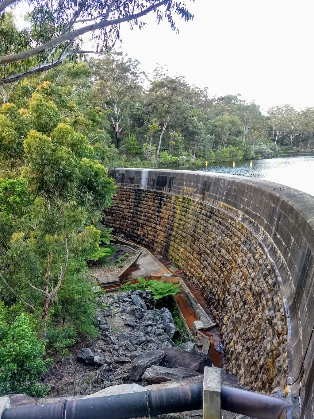 Lake Parramatta Reserve | park | 28 Bourke St, North Parramatta NSW 2151, Australia | 0298065050 OR +61 2 9806 5050