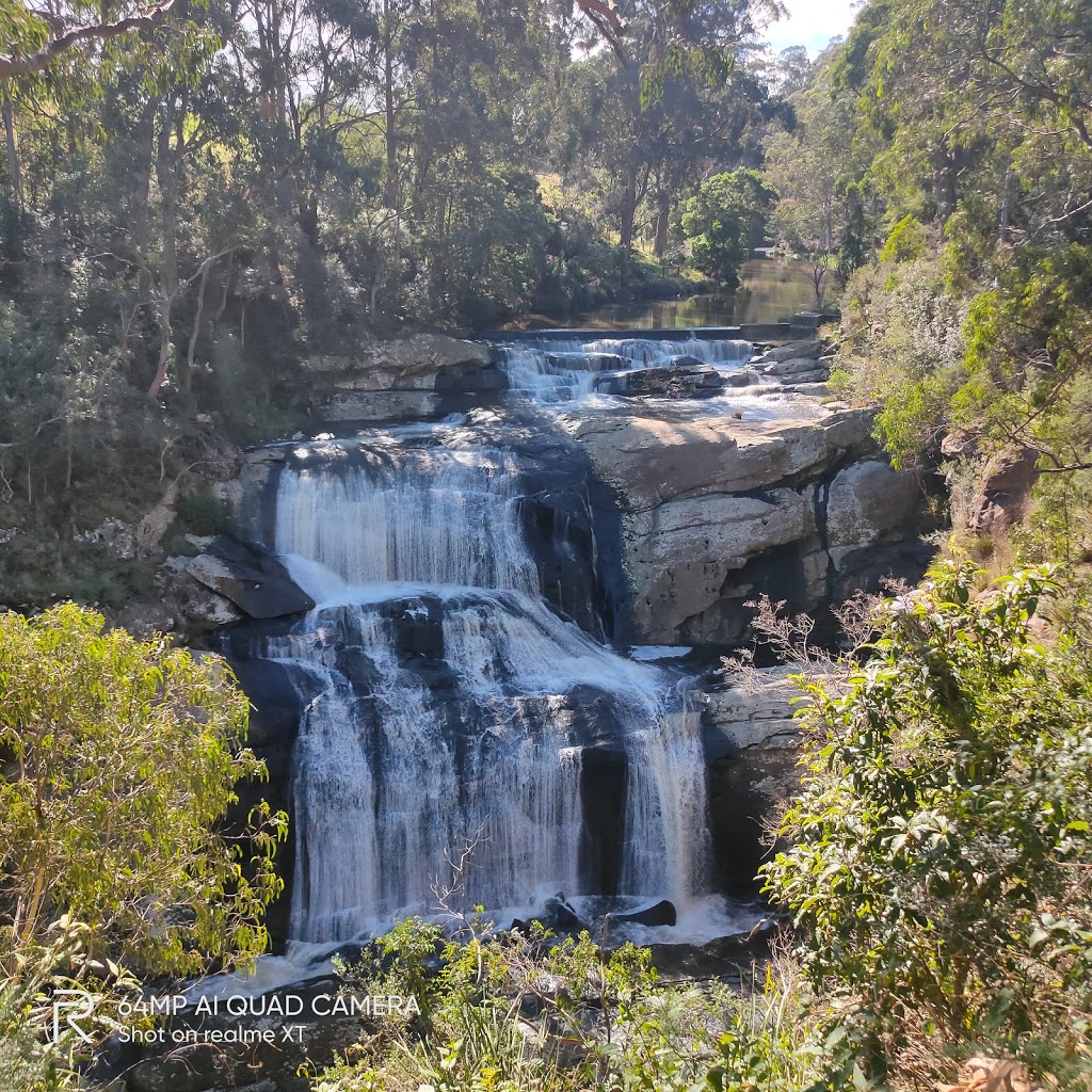 Agnes Falls | tourist attraction | 125 Agnes Falls Rd, Hazel Park VIC 3966, Australia | 131963 OR +61 131963