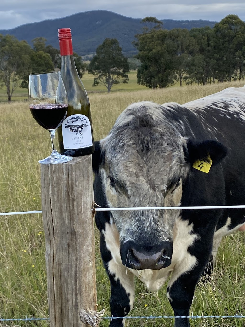 The Parched Crow Wine Co. | 536 De Beyers Rd, Pokolbin NSW 2320, Australia | Phone: 0466 155 883