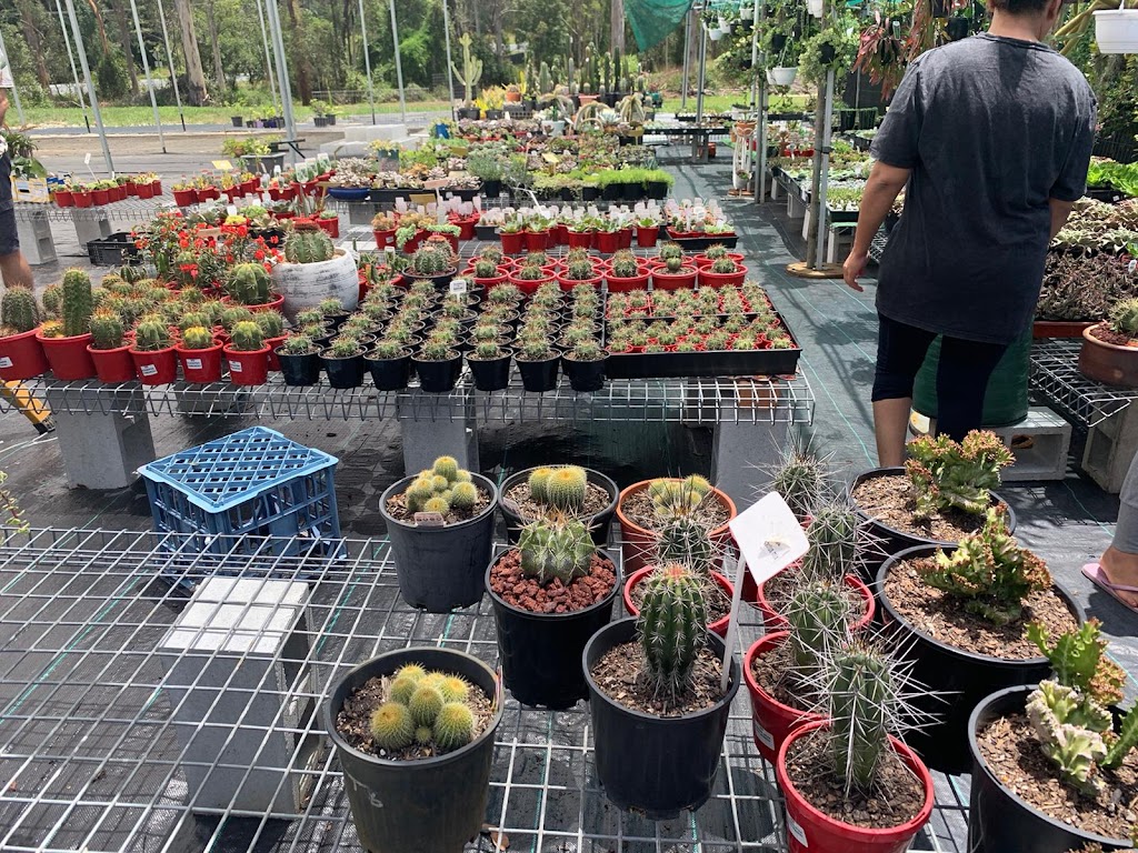 Ozzy Nursery | 173 New Beith Rd, Greenbank QLD 4124, Australia | Phone: 0411 862 014