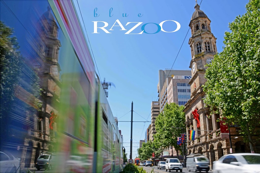 Blue Razoo Photography |  | 12 Woodfield Ave, Warradale SA 5046, Australia | 0404851781 OR +61 404 851 781
