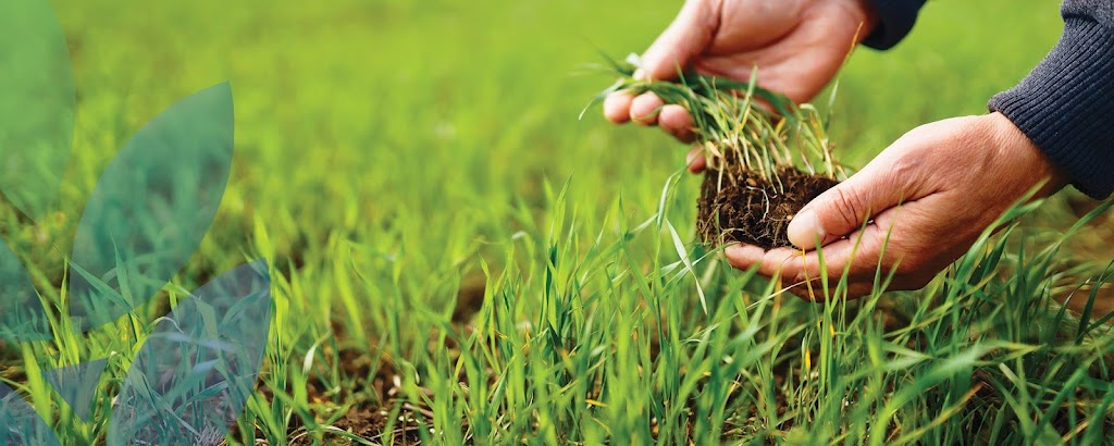 Premier Ag Consultancy Group | 32 High St, Inverleigh VIC 3321, Australia | Phone: 1300 861 541