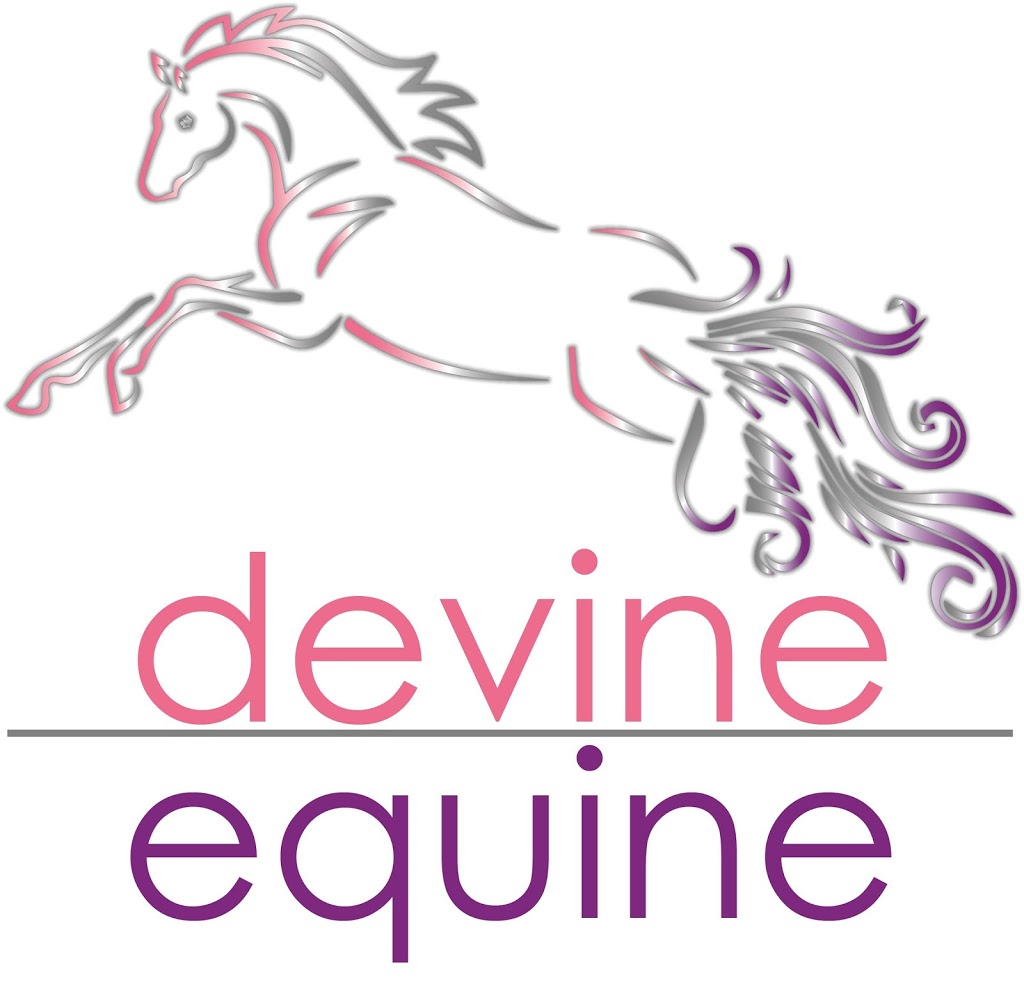 Devine Equine Browbands and Canes | store | 6 Newton Cres, Oak Flats NSW 2529, Australia | 1300211234 OR +61 1300 211 234
