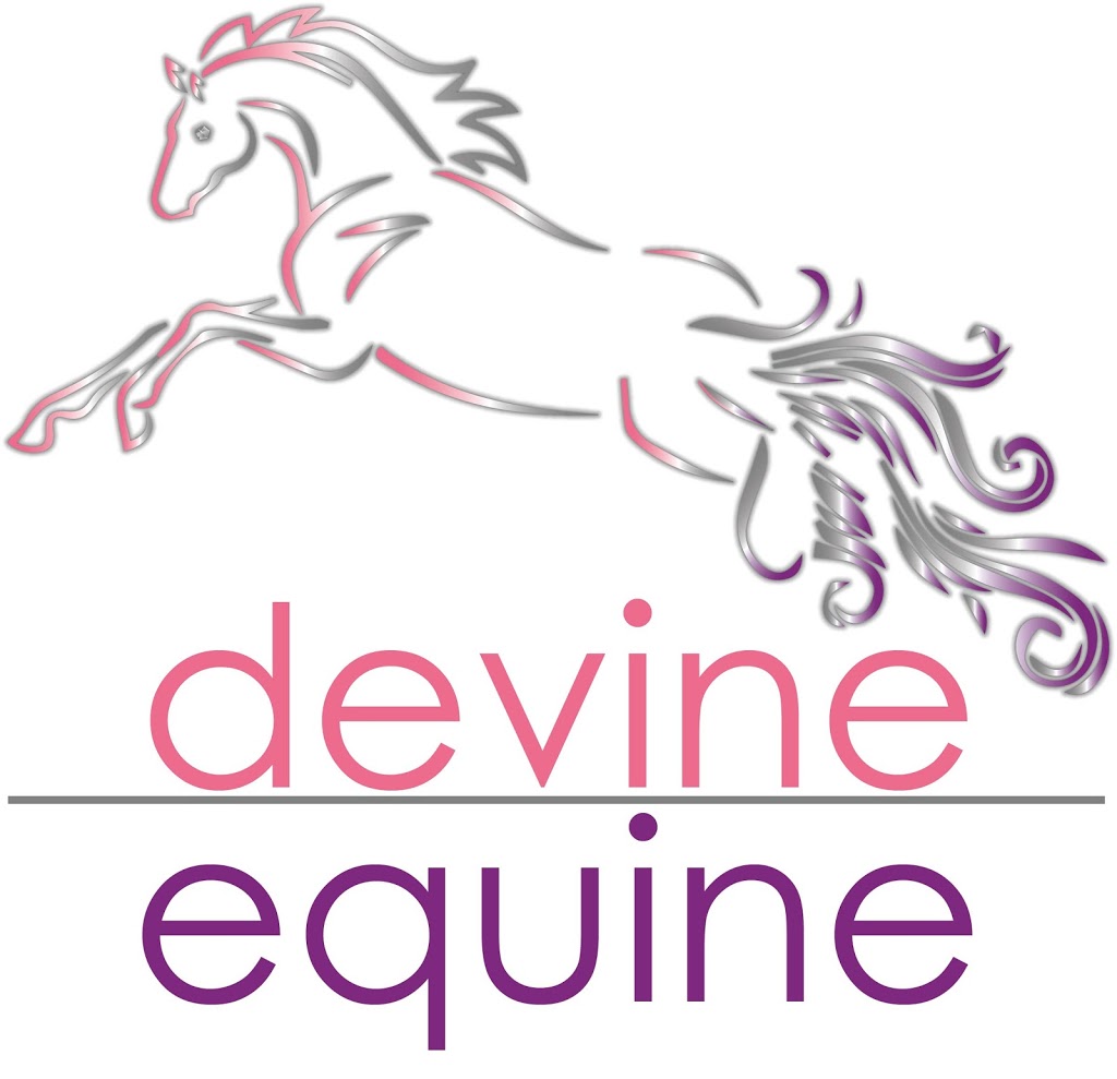 Devine Equine Browbands and Canes | 6 Newton Cres, Oak Flats NSW 2529, Australia | Phone: 1300 211 234