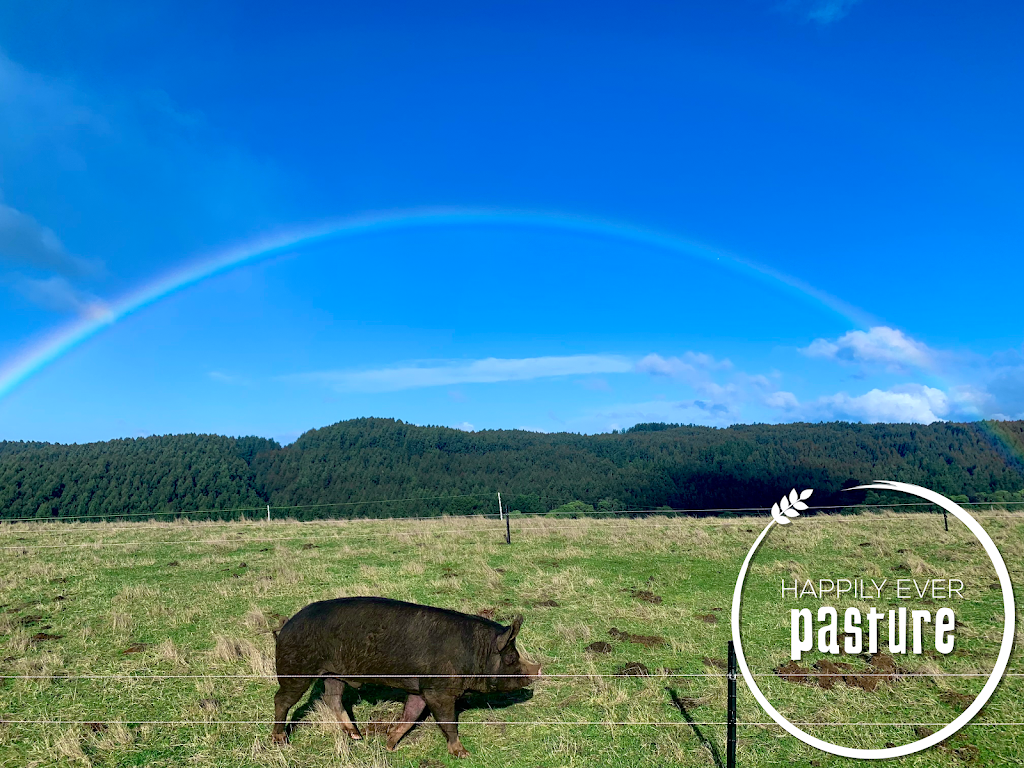 Happily Ever Pasture | 463 Oonah Rd, Tewkesbury TAS 7321, Australia | Phone: 0411 950 088