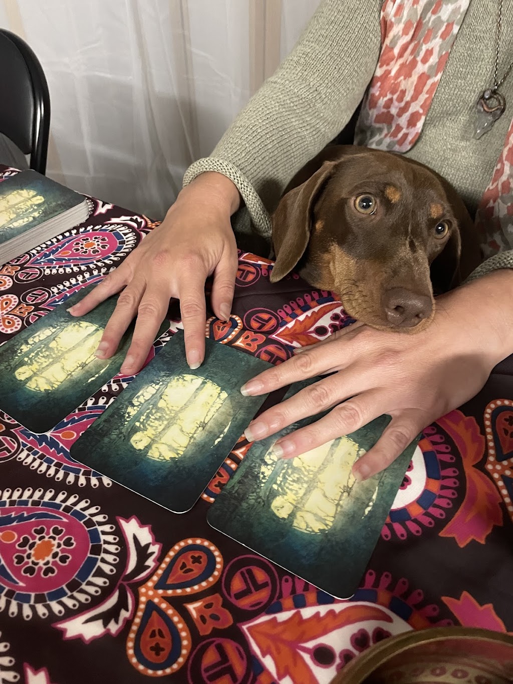 Earth Goddess Healing - Naturopath | 1 Halford St, Castlemaine VIC 3450, Australia | Phone: 0457 100 283