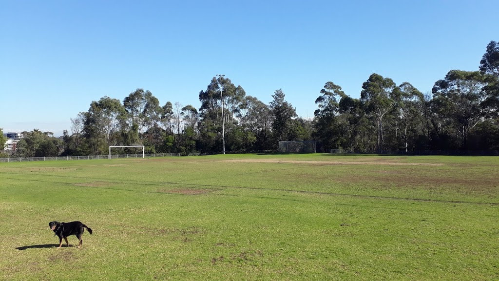 Hazel Ryan Oval | park | Whitbread Pl, North Rocks NSW 2151, Australia | 0298065140 OR +61 2 9806 5140