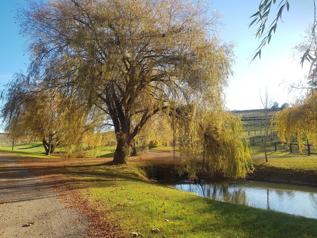 Sutton Farm Equestrian Centre | Sutton Farm, 7530 Illawarra Hwy, Sutton Forest NSW 2577, Australia | Phone: (02) 4869 2600