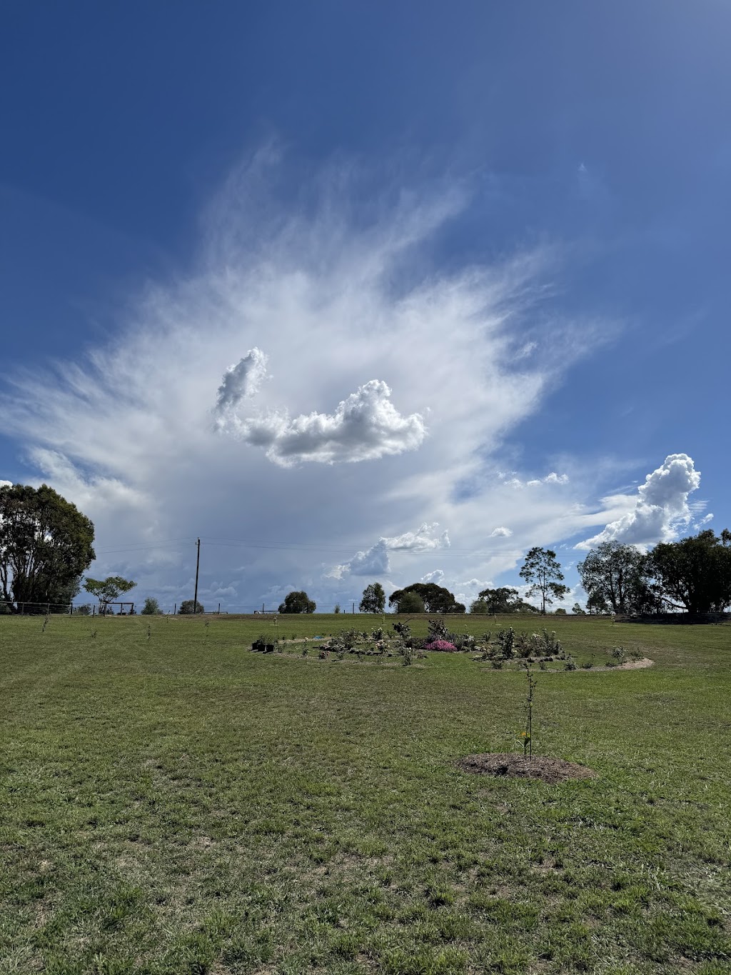 Mid Western Property Care | 73 Acacia Dr, Rylstone NSW 2849, Australia | Phone: 0404 067 157