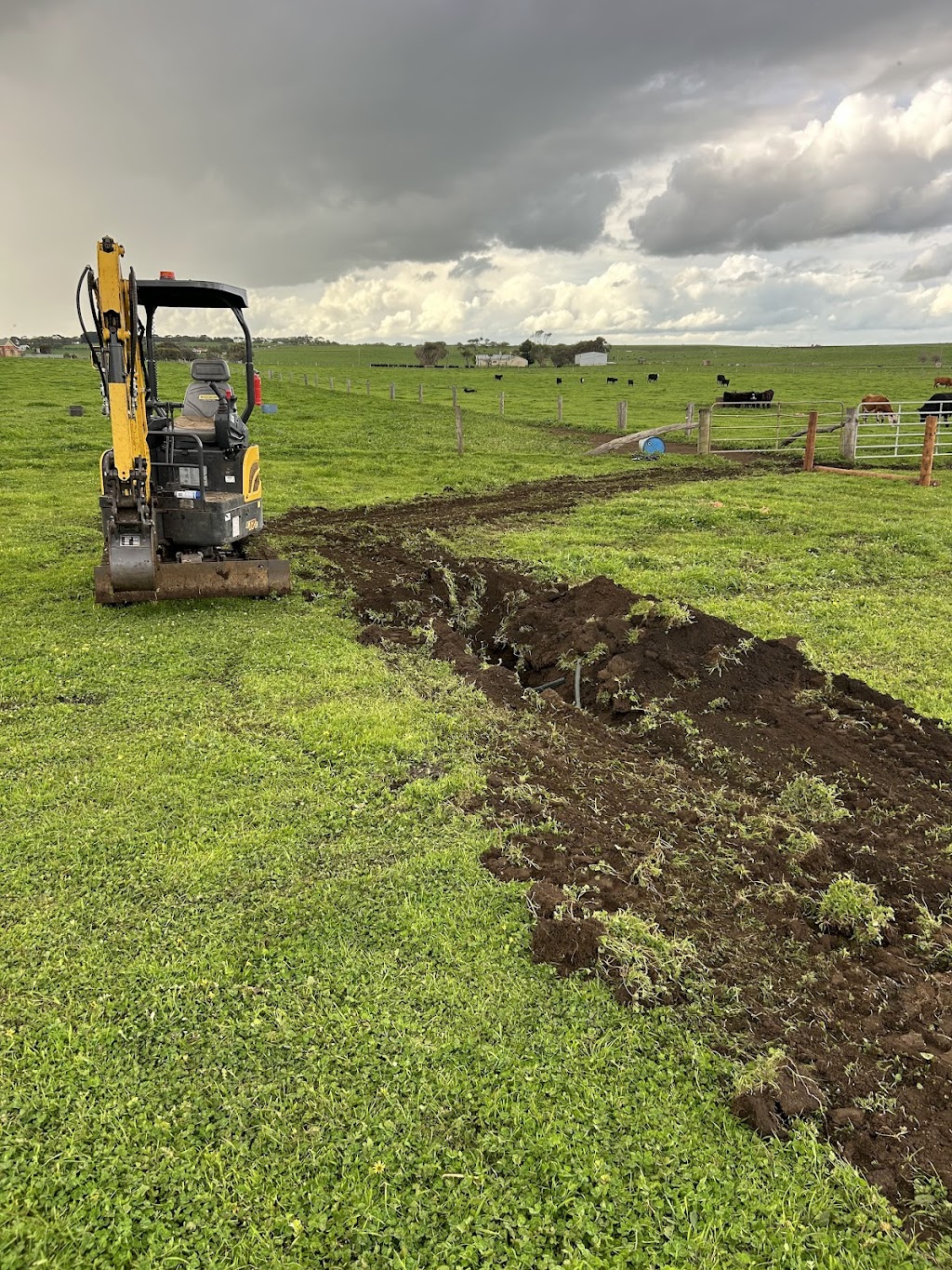 Niftys rural fencing | 8 Austin St, Hawkesdale VIC 3287, Australia | Phone: 0437 438 808