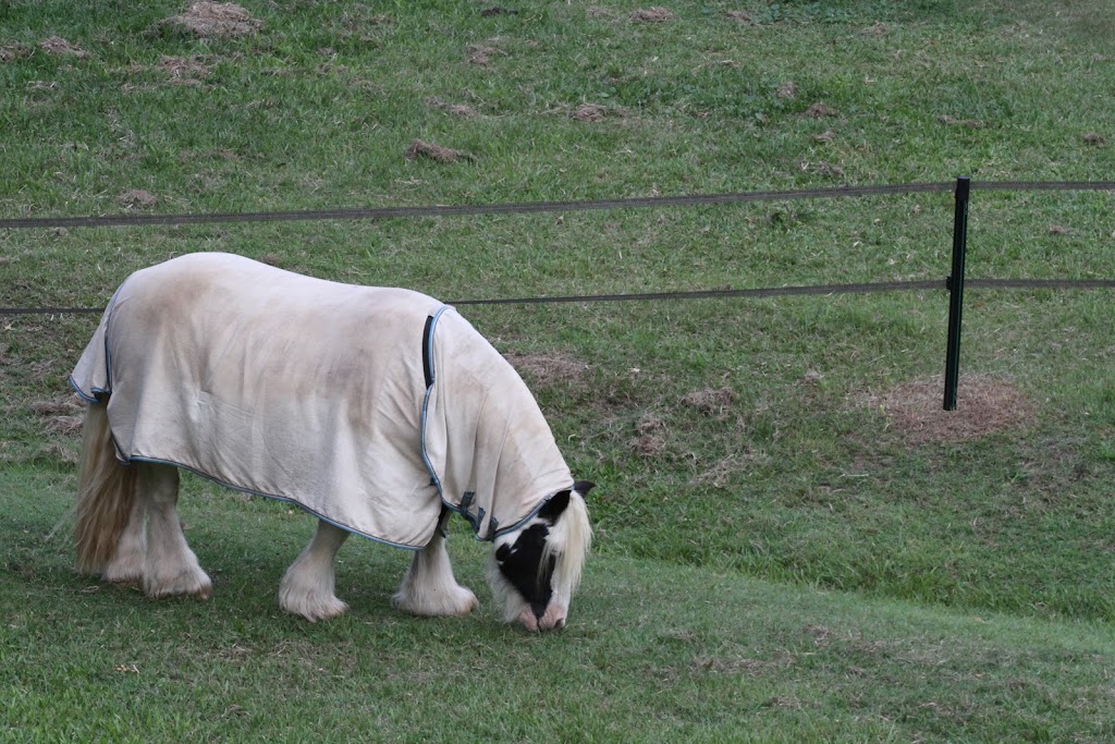 StockGuard Electric Fencing | 208 S Branch Rd, Maryvale QLD 4370, Australia | Phone: 0402 088 866