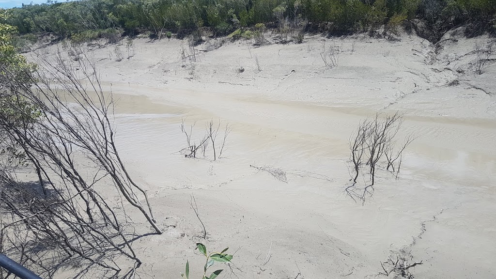 Newport Conservation Park | St Lawrence QLD 4707, Australia