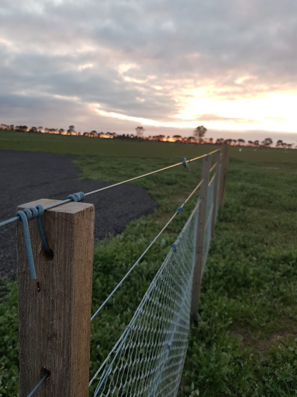 rural fencing contractors | Grenville Dr, Garibaldi VIC 3352, Australia | Phone: 0419 156 159