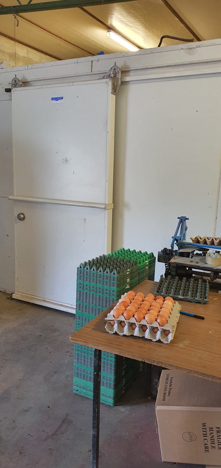 Yellingbo Free Range Hens and Eggs |  | 1280 Macclesfield Rd, Yellingbo VIC 3139, Australia | 0417482902 OR +61 417 482 902