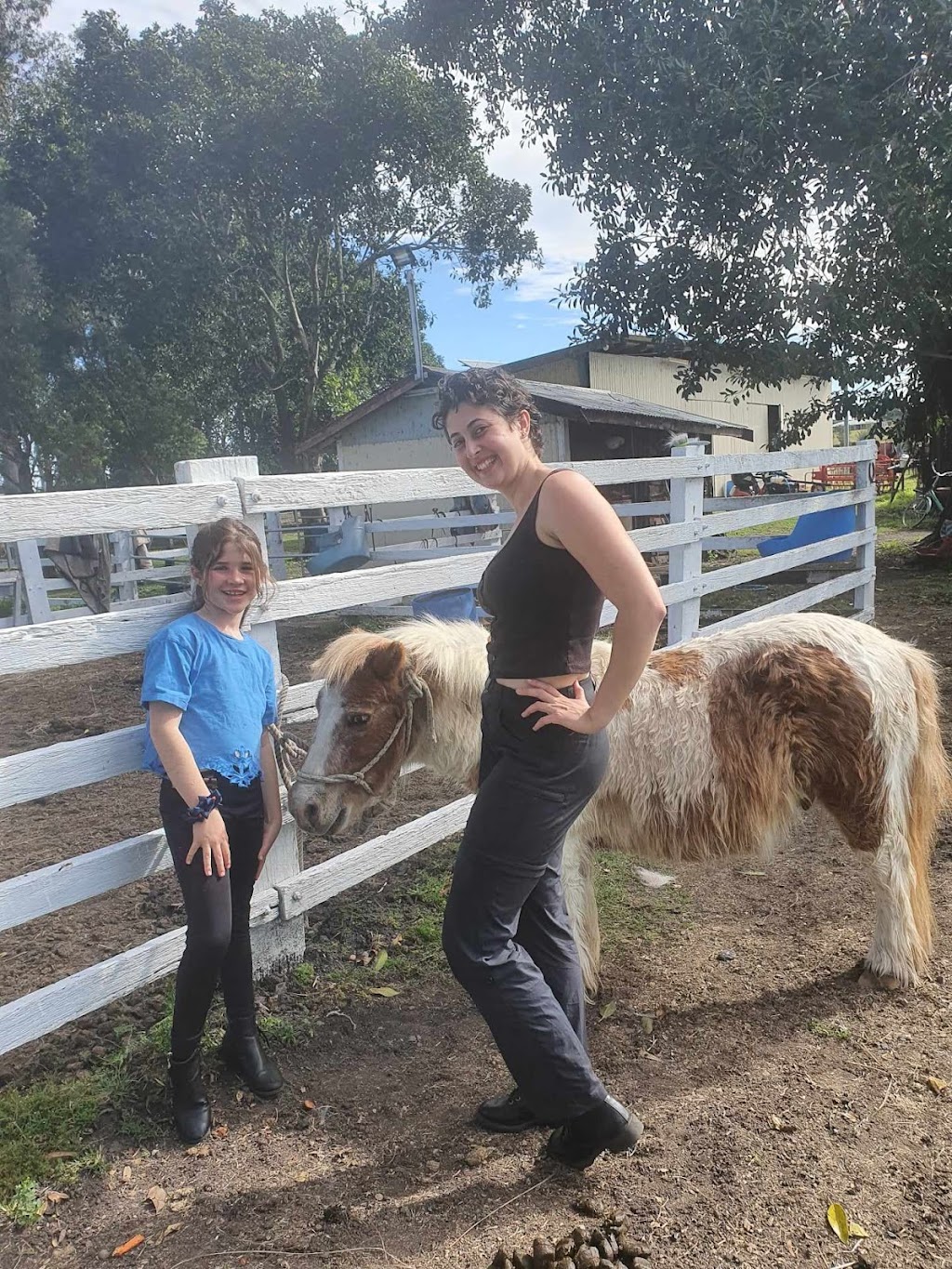 Ability 2 discover | 758 Rosewood Marburg Rd, Marburg QLD 4346, Australia | Phone: 0438 767 974