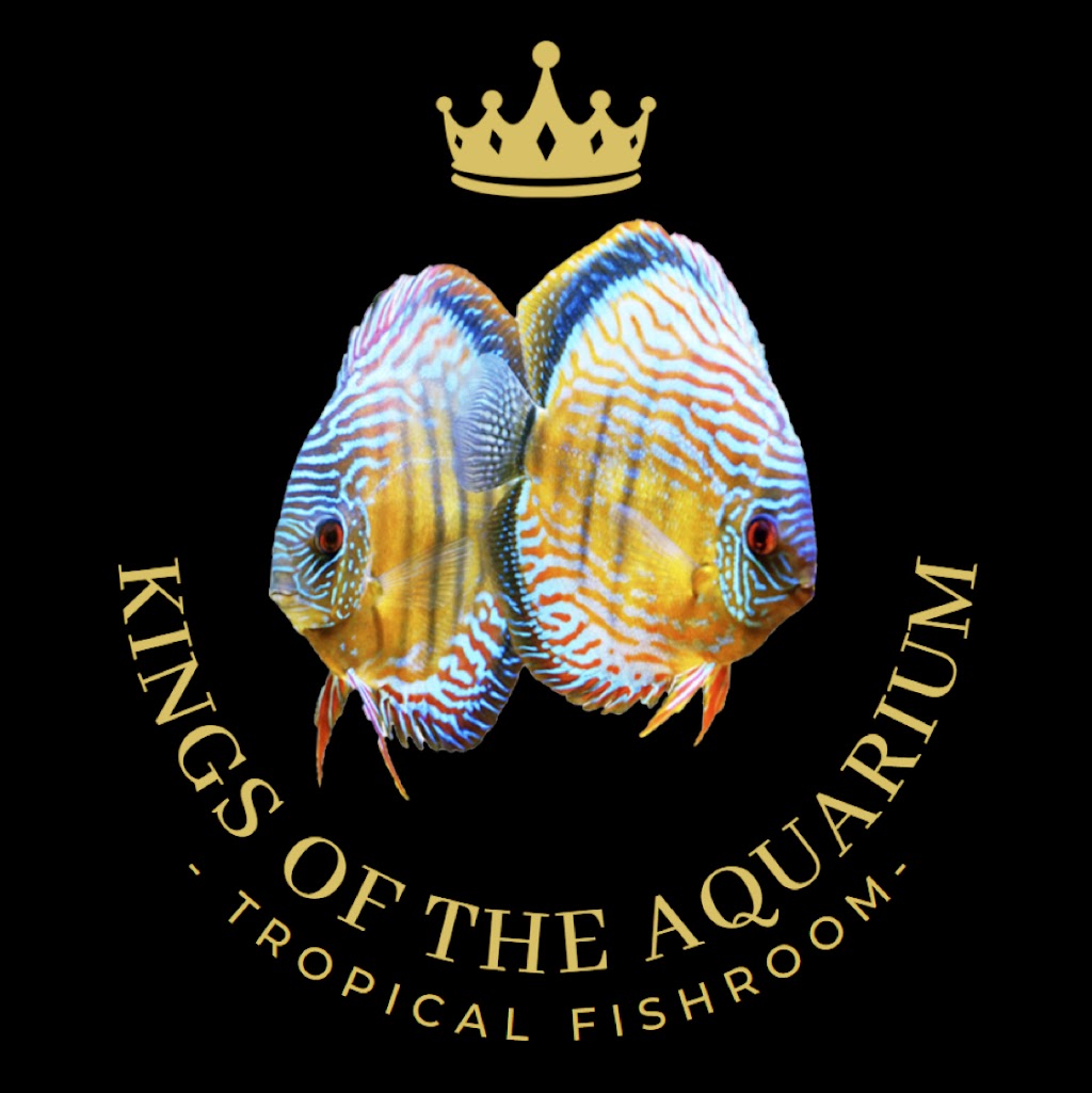 Kings Of The Aquarium | 72 Yellow Brick Rd, Old Beach TAS 7017, Australia | Phone: 0488 232 411