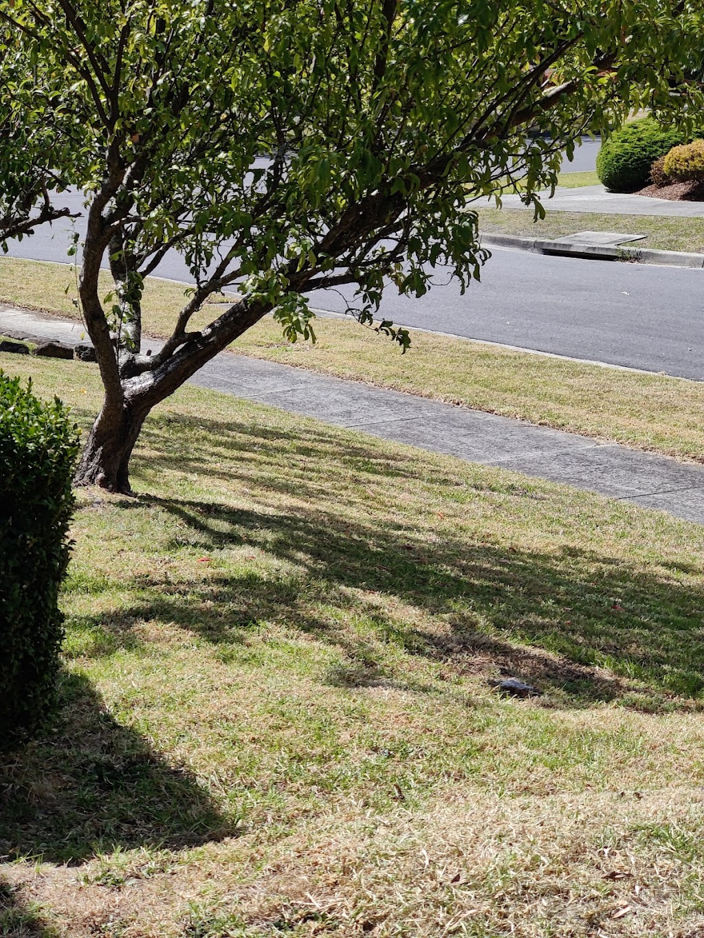 Topcut Lawn mowing Clyde | 22 Sikes Rd, Clyde North VIC 3978, Australia | Phone: 0456 082 050