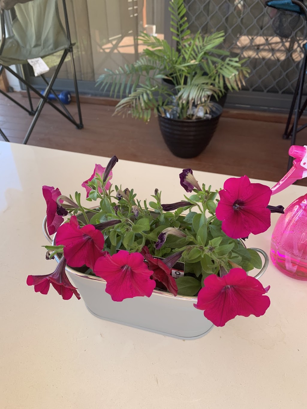 Grace Guest Rooms | 19 Lomandra Ave, Roma QLD 4455, Australia | Phone: 0498 375 398